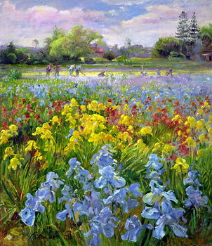 Poster Hoeing Team and Iris Fields, 1993