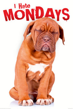 Poster I hate mondays