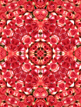 Poster Kaleidoscopic pattern of red roses