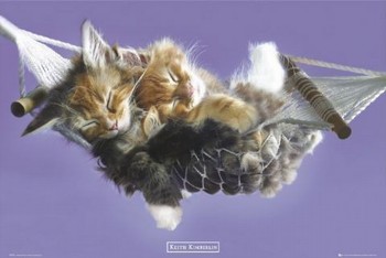 Poster Keith Kimberlin - hammock