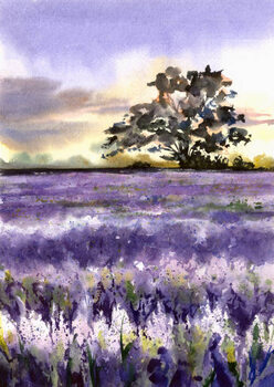 Плакат Lavender field and tree.