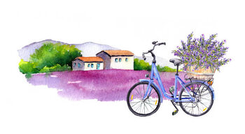 Poster Lavender flowers, bicycle with bouquet in