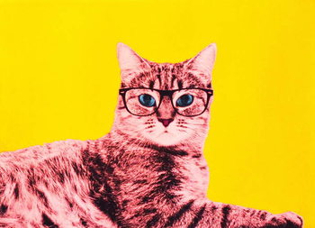 Canvas Print Life in technicolor, 2017,