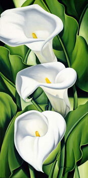 Poster Lilies, 2002