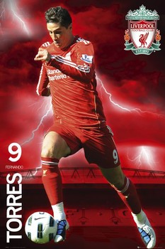Poster Liverpool - torres 2010/2011