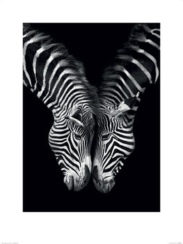 Marina Cano - Together Art Print