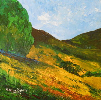 Poster Morne La Selle, 2015