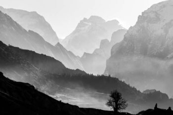 Плакат Morning in foggy mountains. Black and