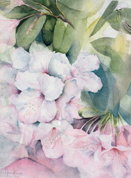 Quadro em tela Morning Magic