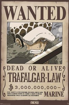 Poster One Piece - Wanted Law Wano