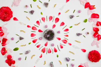 Poster Overhead view of flower petals decorated