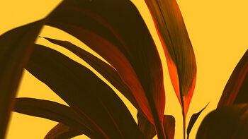 Poster Palm Frond Sculpture,  c.2015-2025