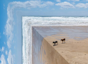 Poster Perspective bending image of two dogs on a beach
