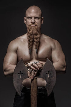 Poster Portrait of a Warrior King