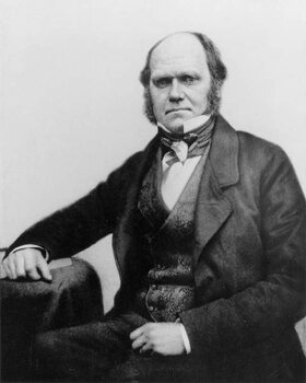Canvas Print Portrait of Charles Darwin, 1854
