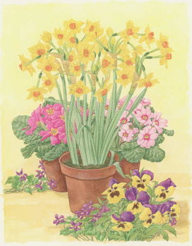 Плакат Pots of Spring Flowers, 2003