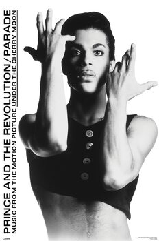 Плакат Prince