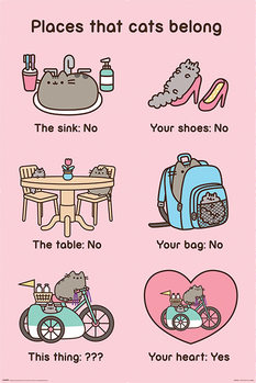 Pusheen - Places Cats Belong Poster