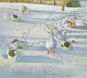 Poster Resting on the Slope