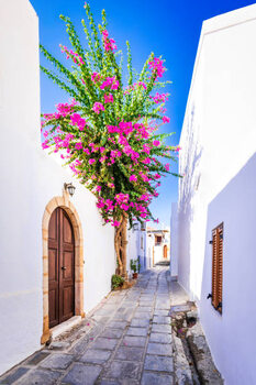 Poster Rhodes, Greece. Beautiful narrow street in