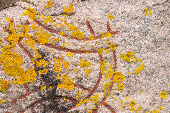 Poster Runic letters on a stone