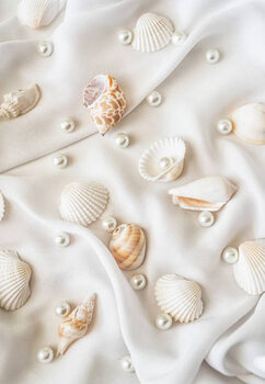 Poster Seashells and pearls on white silk