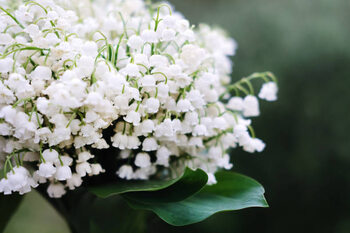 Poster Spring collection of holiday cards with