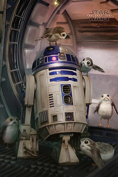 Star Wars The Last Jedi - R2-D2 & Porgs Poster