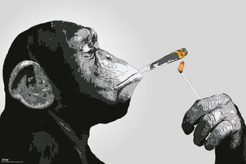 Steez - Monkey Smoking Poster