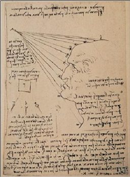 Study of the human face Art Print