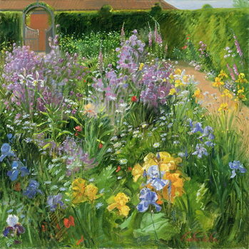 Poster Sweet Rocket, Foxgloves and Irises, 2000