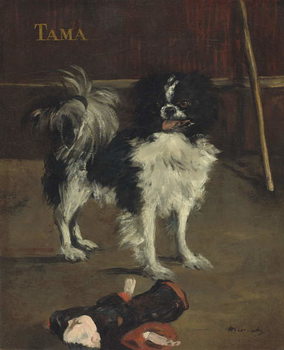 Poster Tama, the Japanese Dog, c.1875