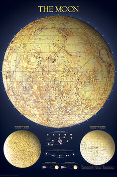 Poster The Moon