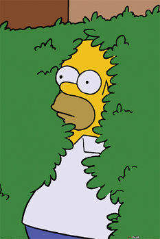 Poster The Simpsons - Homer Bush