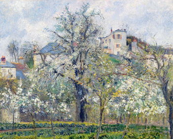Poster The Vegetable Garden with Trees in Blossom, Spring, Pontoise