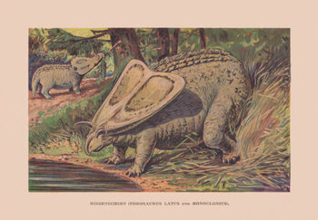 Poster Torosaurus and Monoclonius, Cretaceous period, chromolithograph,