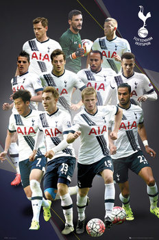 Poster Tottenham Hotspur FC - Team Photo 14/15, Wall Art, Gifts &  Merchandise