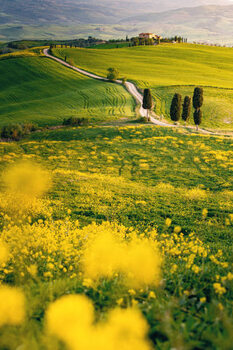 Poster Tuscany, springtime in the afternoon. Path,
