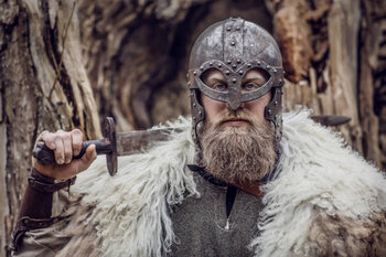 Poster Viking warrior king in a forest
