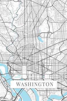 Canvas Print Washington white