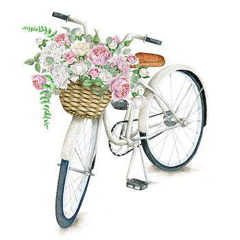 Poster Watercolor White Bicycle With Beautiful Flower