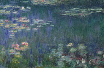 Poster Waterlilies
