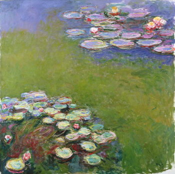 Poster Waterlilies