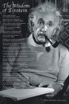 Poster Wisdom of Albert Einstein - Quotes