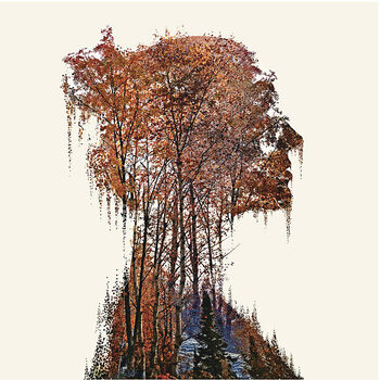 Poster Woman And Nature