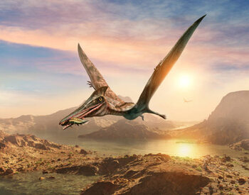 Sticker Pterosaur scene 3D illustration