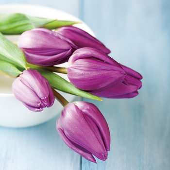 Γυάλινη τέχνη Purple Tulipans