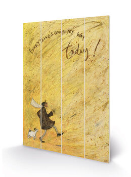 Sam Toft - Everything's Going My Way Today! Puukyltti