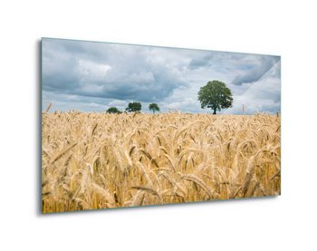 Quadro em vidro Harvest Time