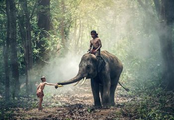 Quadro em vidro Jungle Friends
